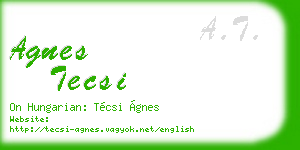 agnes tecsi business card